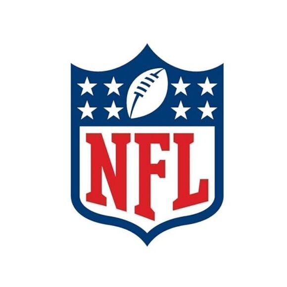 NEW Houston Texans Exclusive Double Sided Car Flag Window Clip NFL footb… - Picture 4 of 6